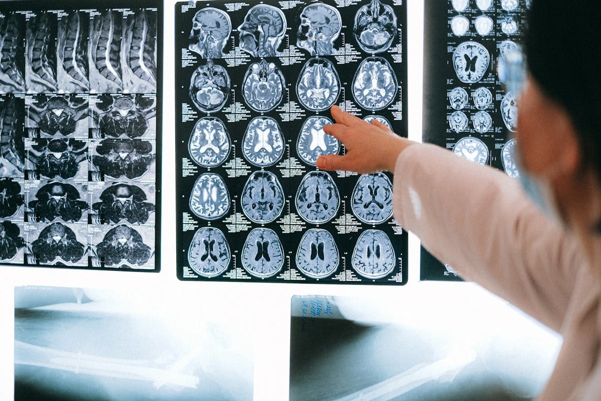 Estudios sobre el cerebro y su conexión con el cuerpo